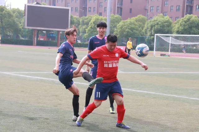刘翔未来职务确定，揭示工作性质与薪资情况